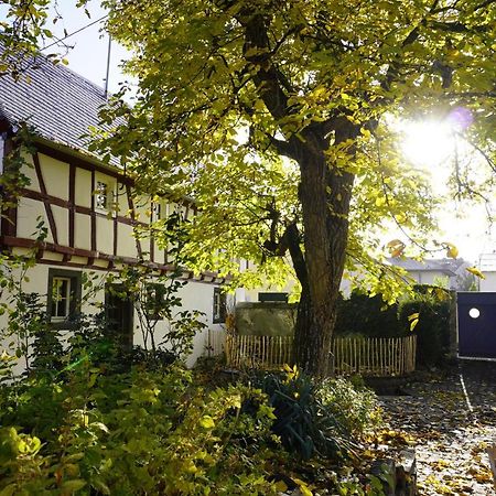 Apartamento Hedwigs Hexenhaeuschen Kruft Exterior foto